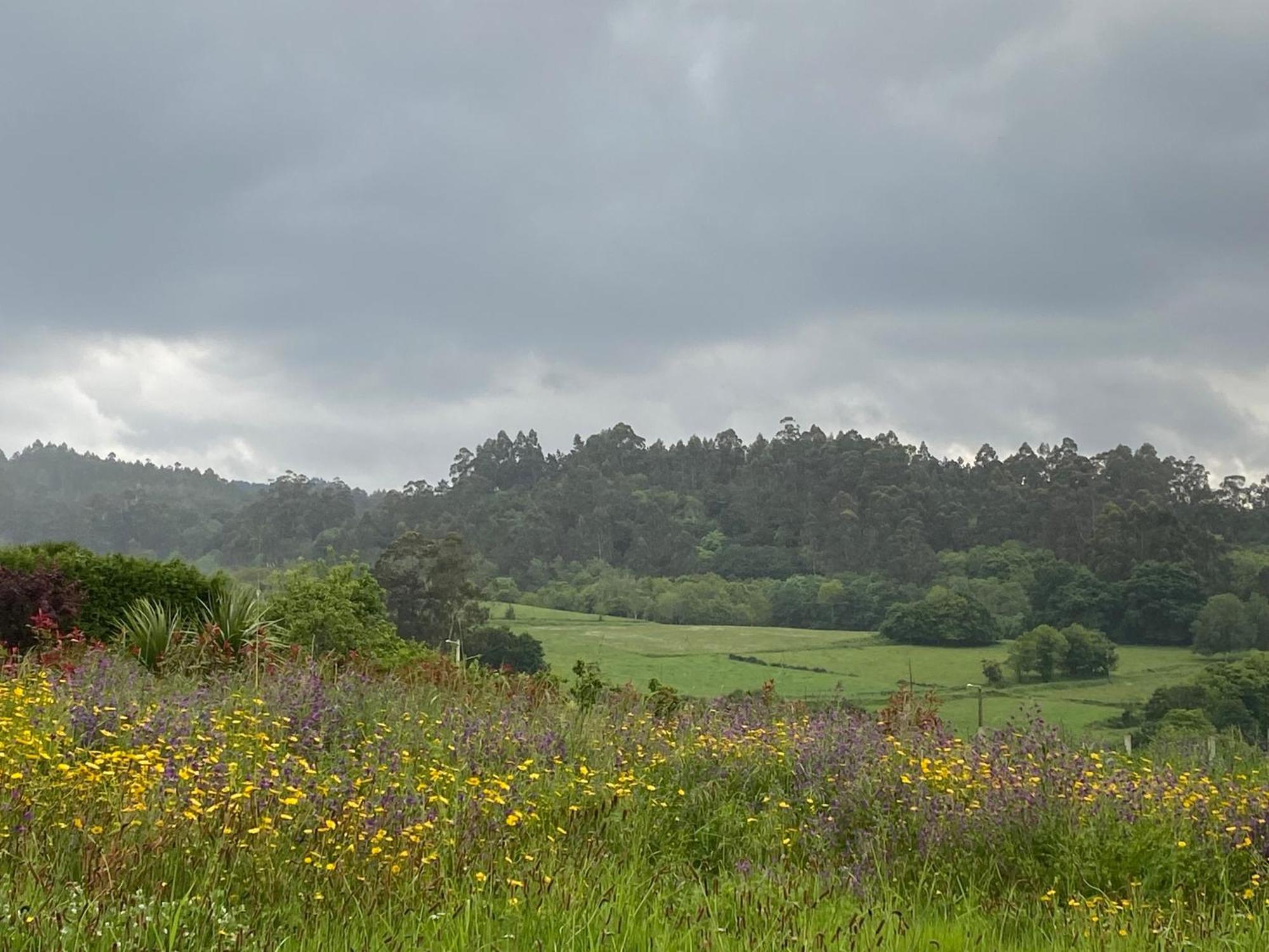 Casa Vanguardista En El Campo Cerca De Santiago Pontevedra Bagian luar foto